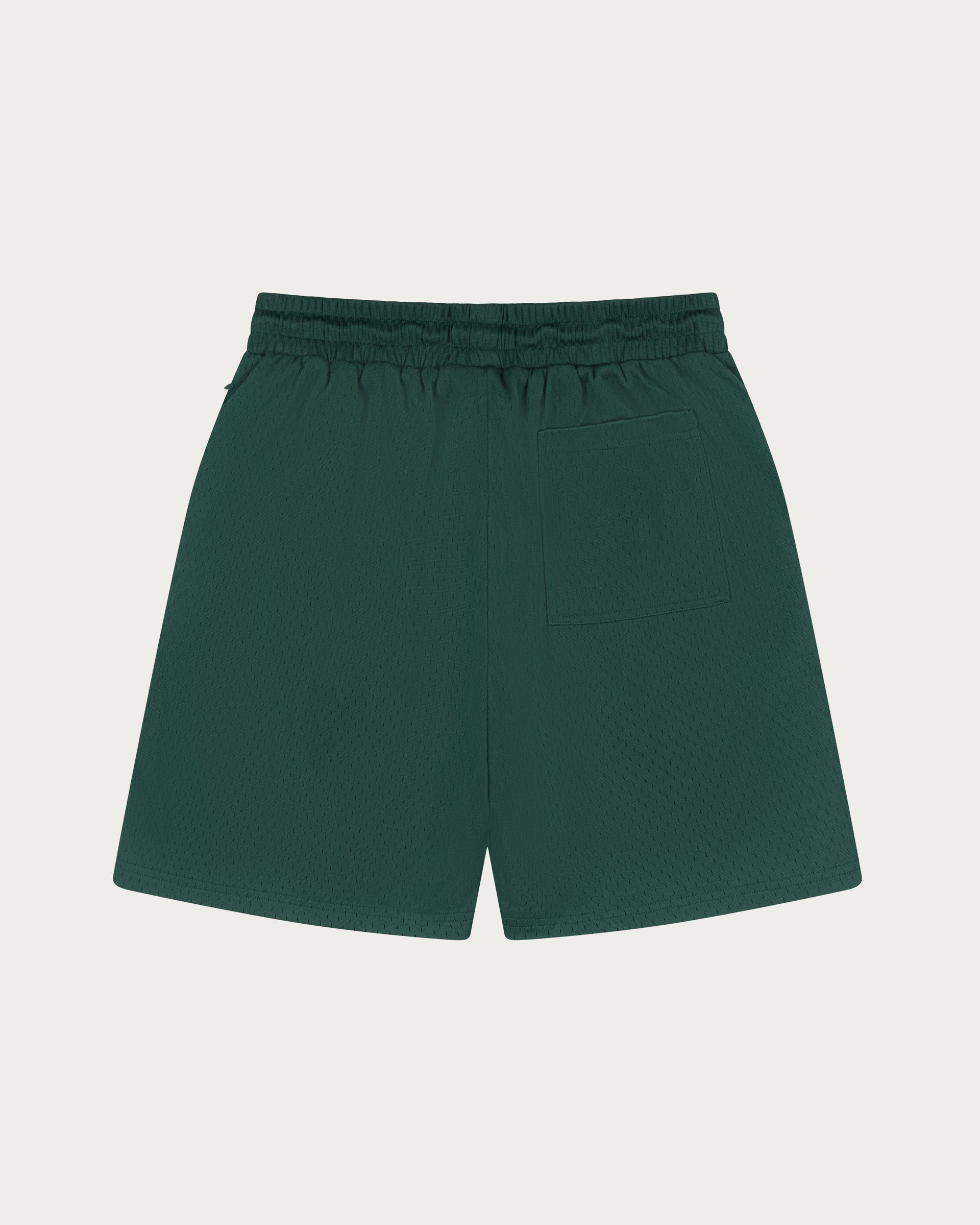 Mesh Shorts / Green