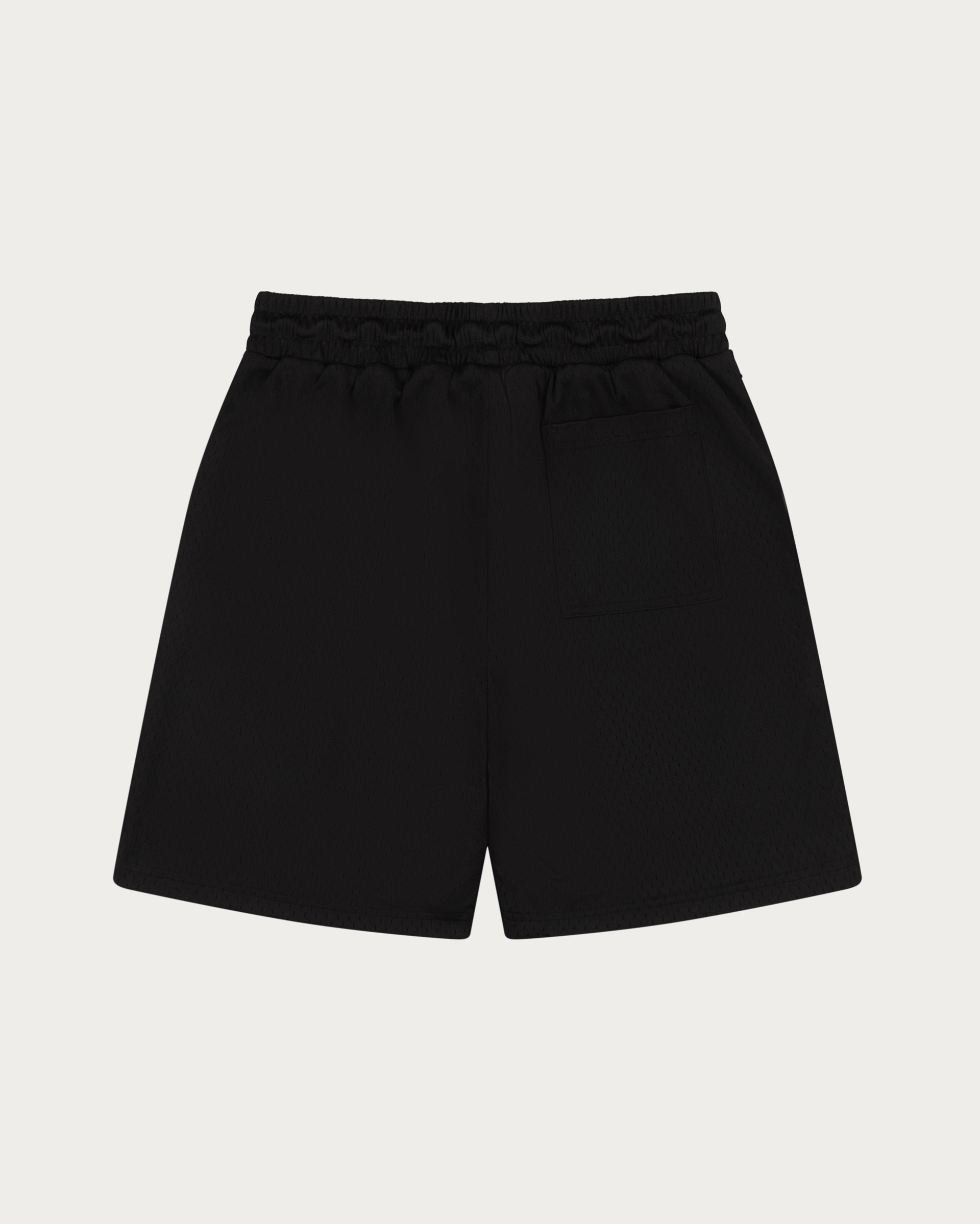 Mesh Shorts / Black