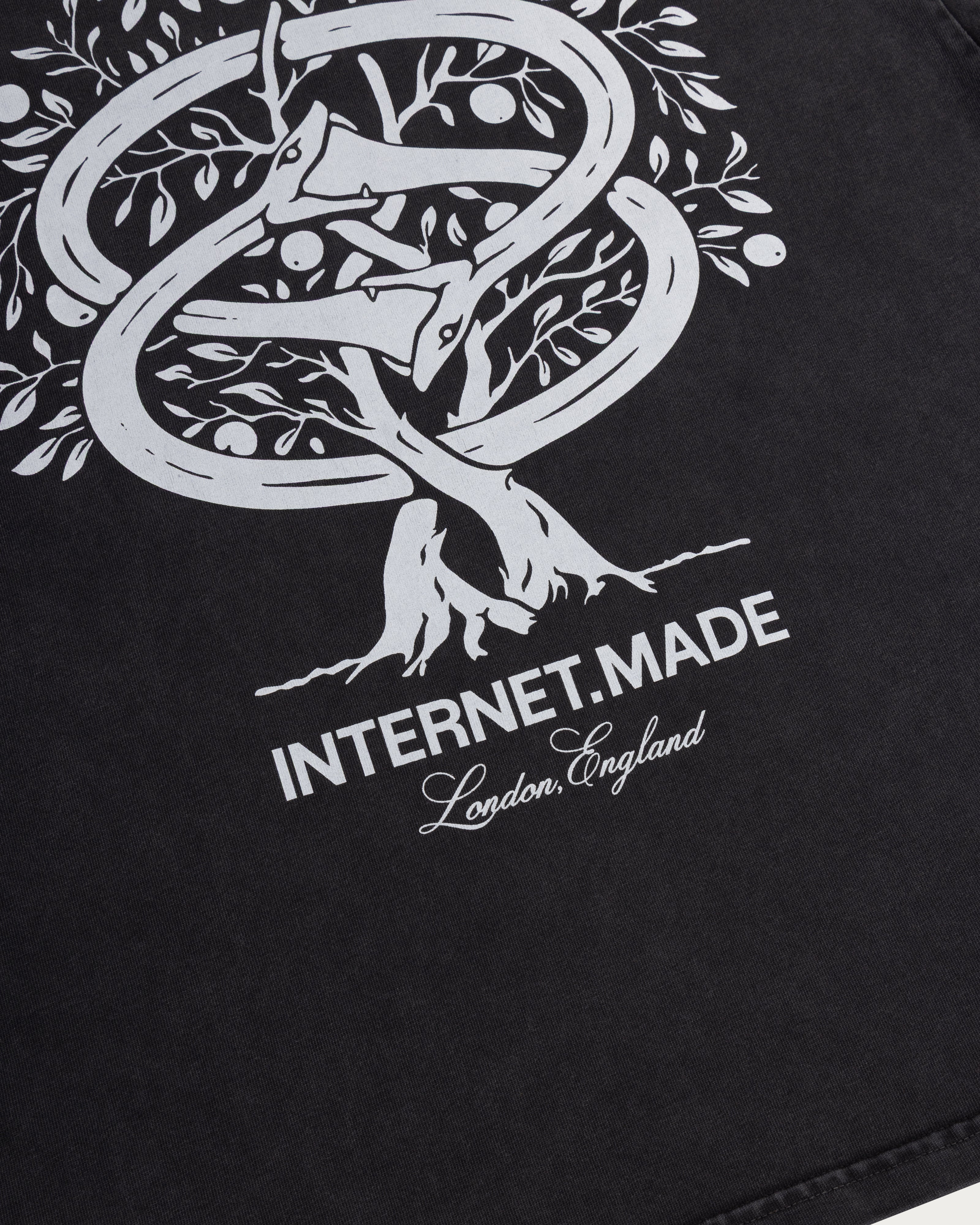 No Snakes Just Ladders Ouroboros T-Shirt - Washed Black – Internet