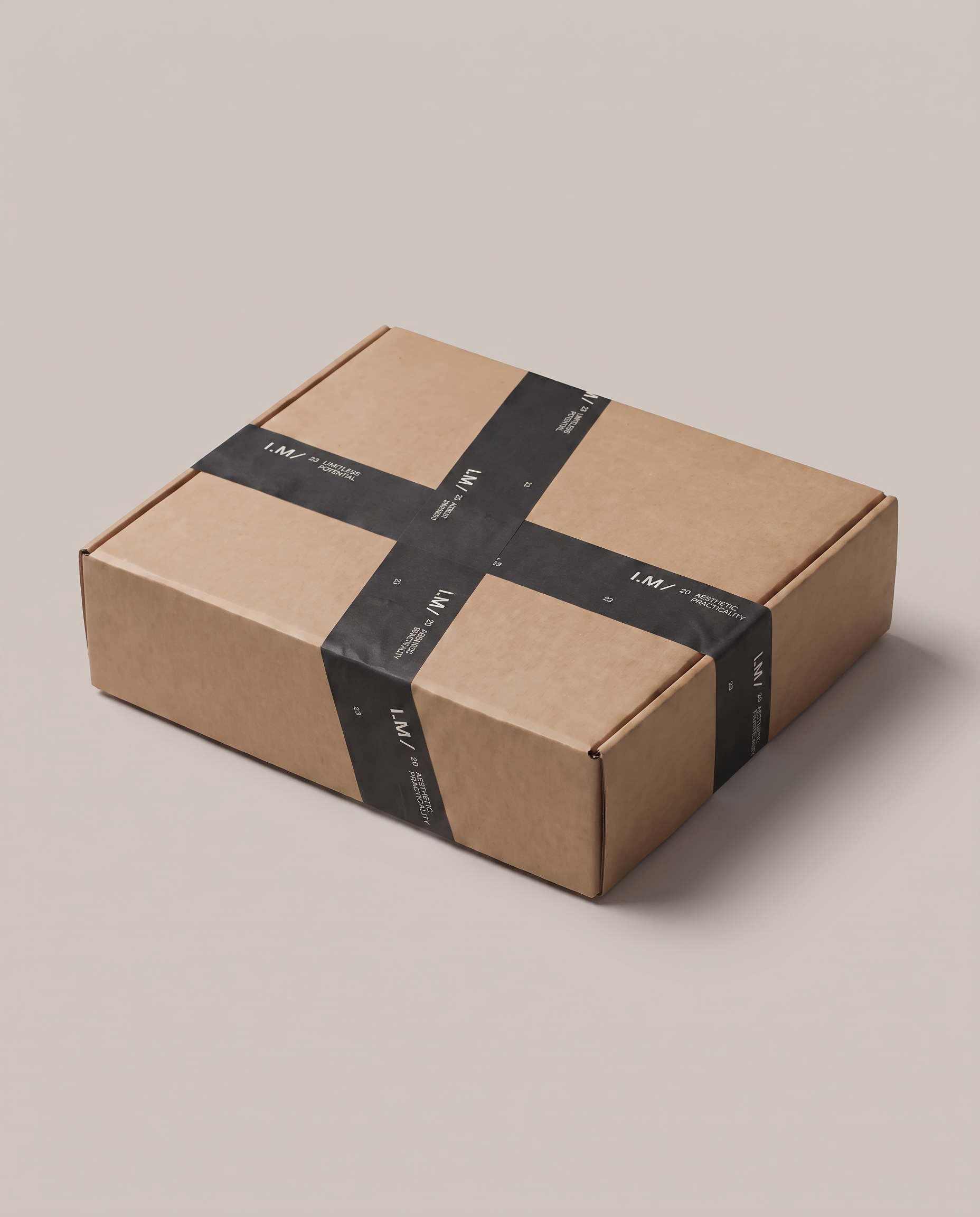 Mystery Box - T-Shirt Only